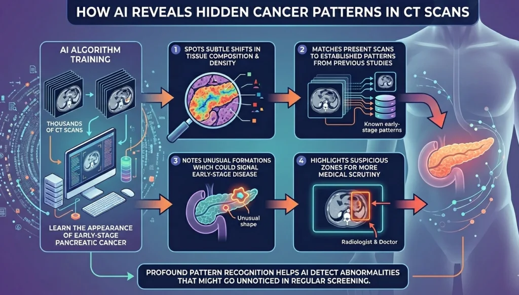 Infographic showing how AI analyzes CT scans to find hidden pancreatic cancer patterns through training, pattern matching, and highlighting suspicious zones.